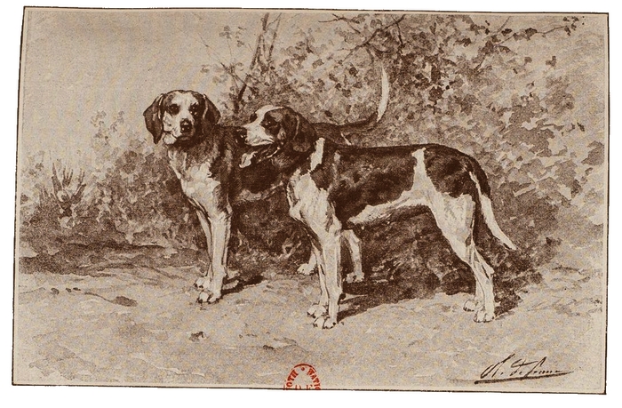 Illustration tirée du Manuel de Vènerie française - Emmanuel Le Couteulx de Canteleu (1890) - Hachette et Cie (Paris) - BnF (Gallica) (10)